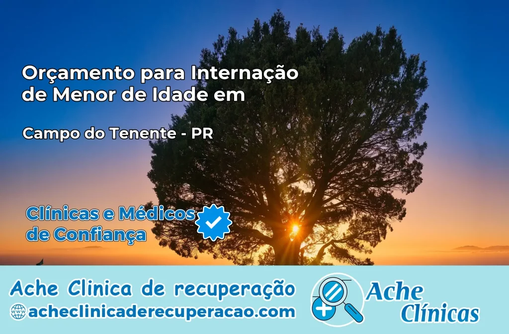 Internação de Menor de Idade em Campo do Tenente – PR