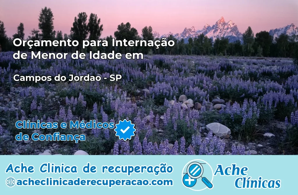 Internação de Menor de Idade em Campos do Jordão – SP