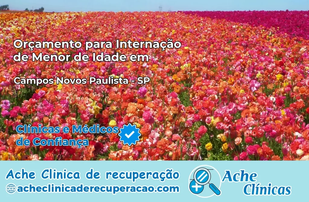Internação de Menor de Idade em Campos Novos Paulista – SP