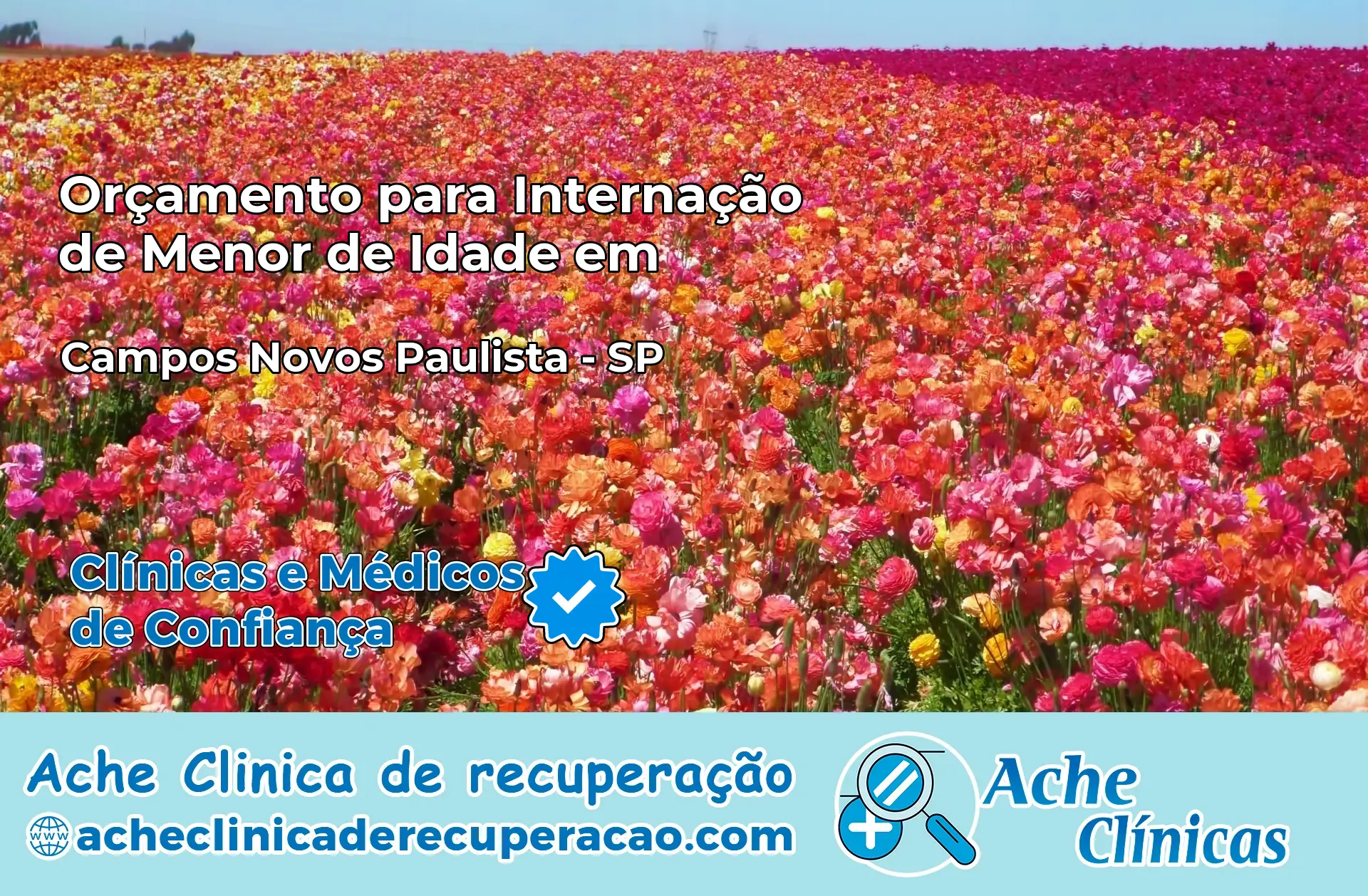 Internação de Menor de Idade em Campos Novos Paulista – SP