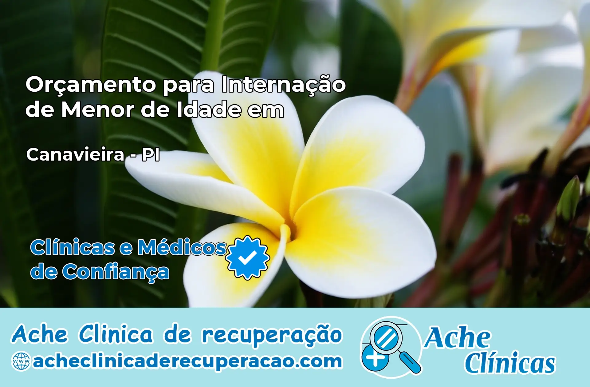 Internação de Menor de Idade em Canavieira – PI