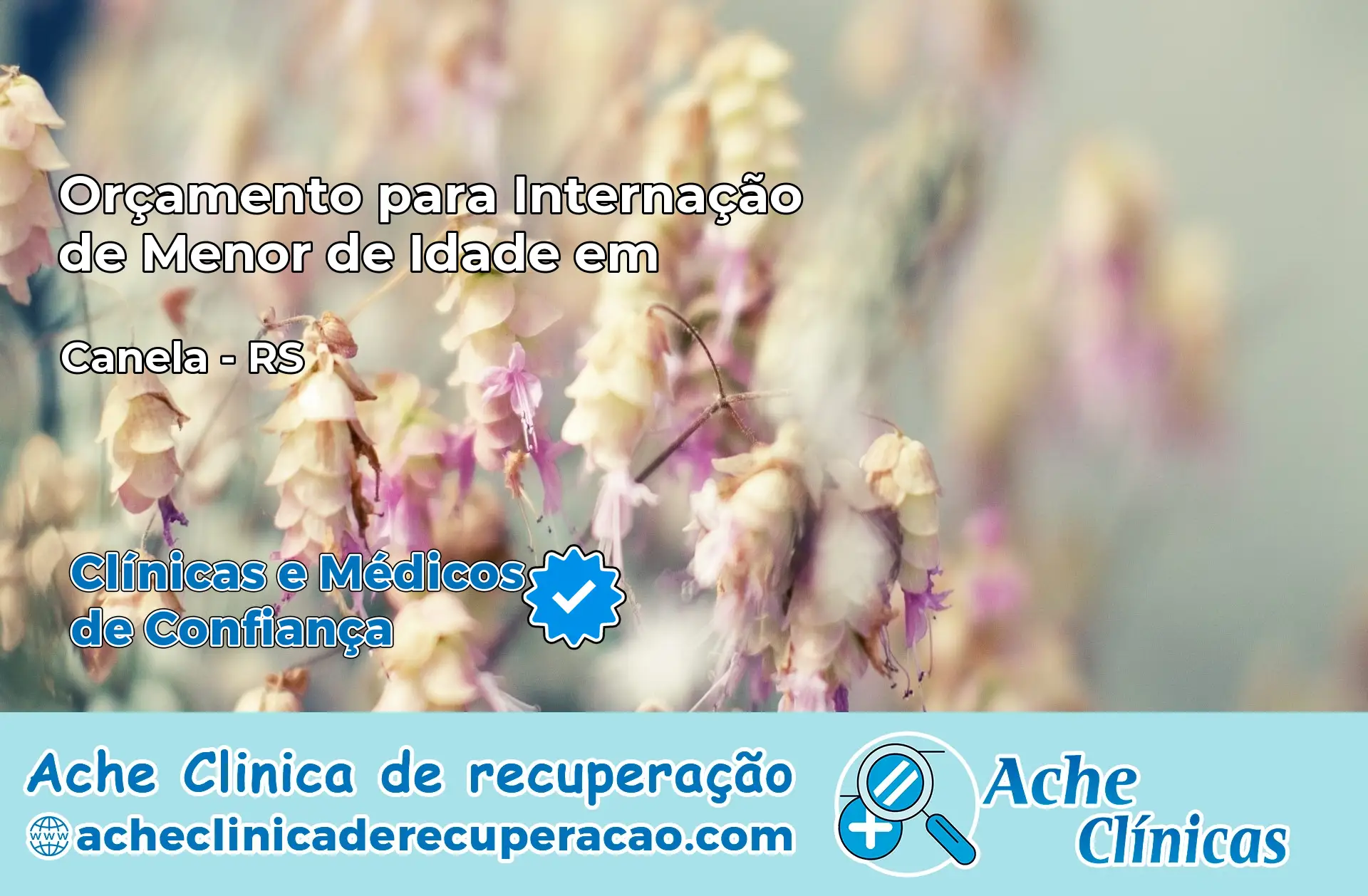 Internação de Menor de Idade em Canela – RS