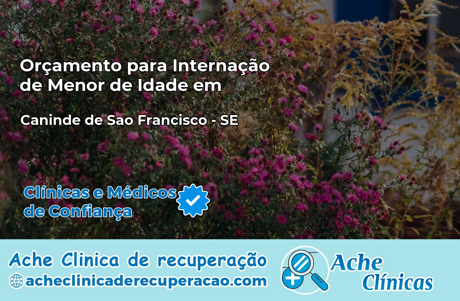 Internação de Menor de Idade em Canindé de São Francisco – SE
