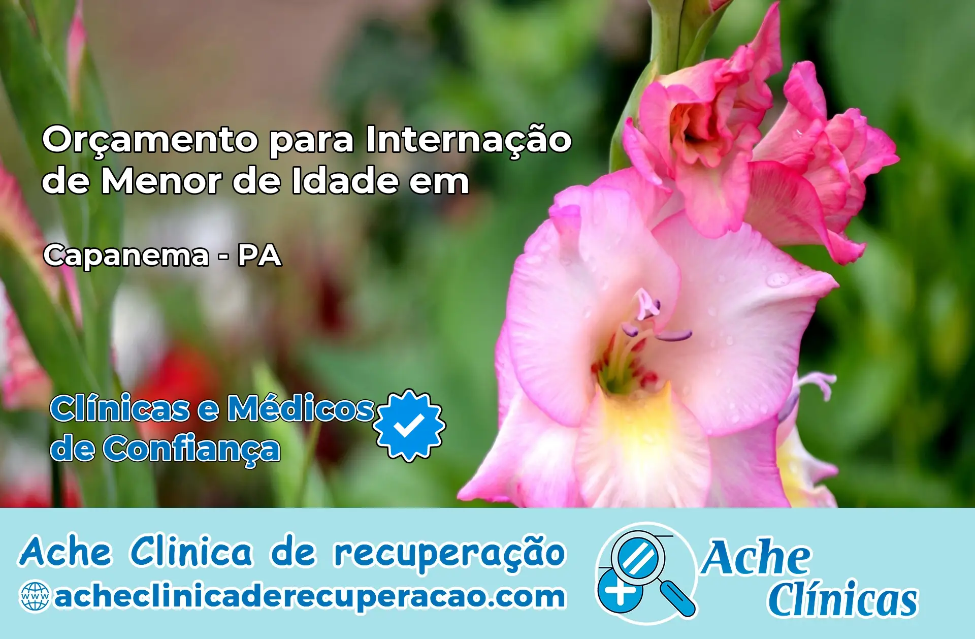 Internação de Menor de Idade em Capanema – PA