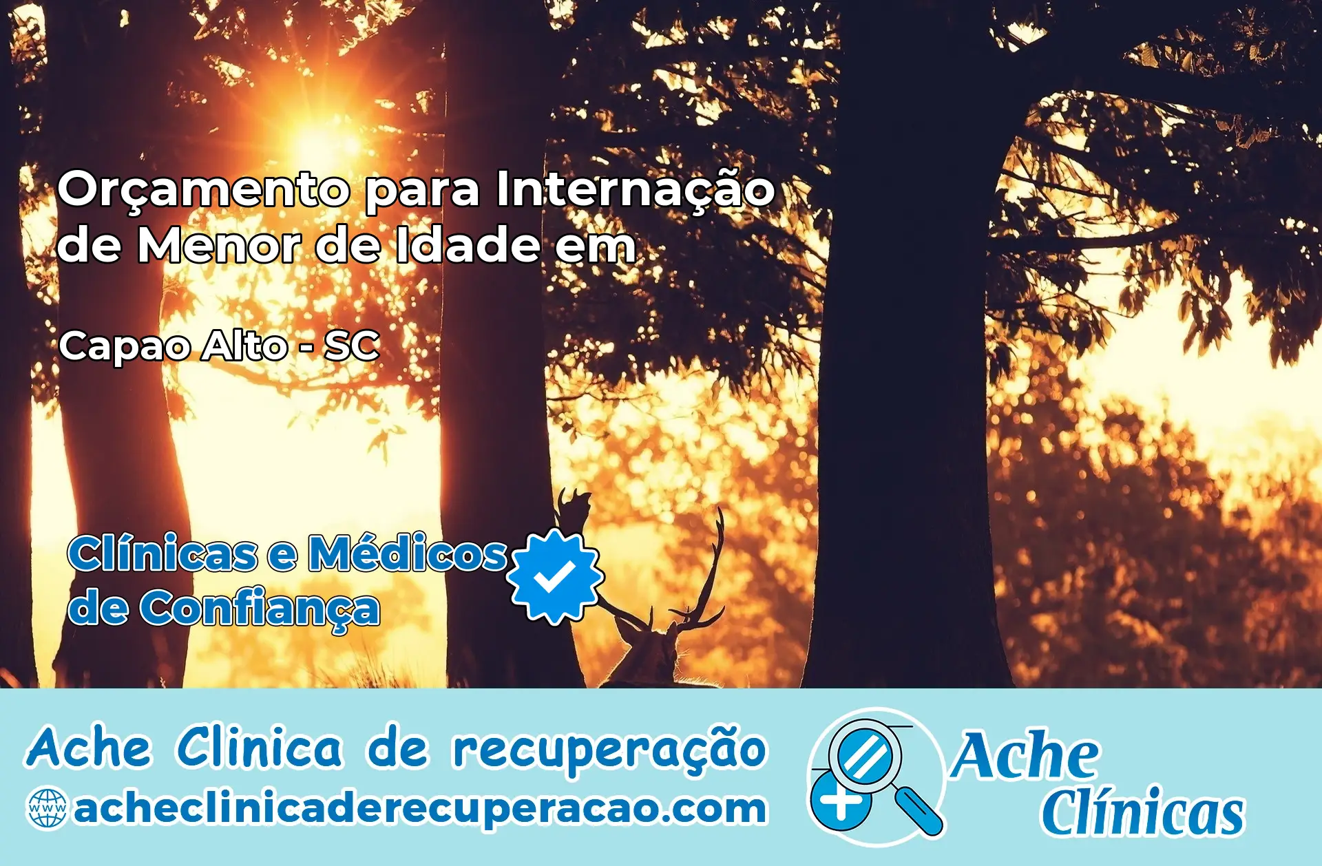 Internação de Menor de Idade em Capão Alto – SC
