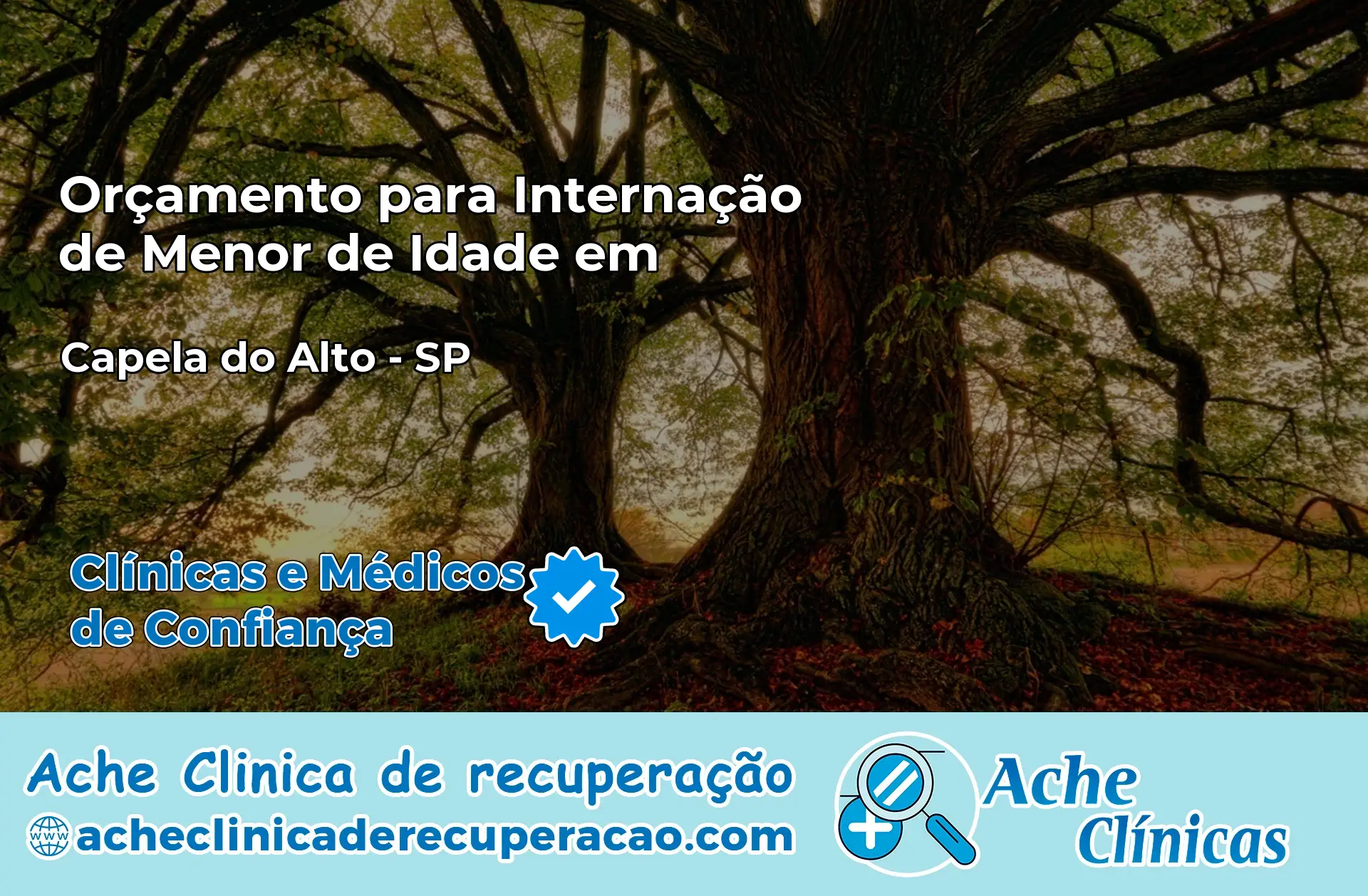 Internação de Menor de Idade em Capela do Alto – SP