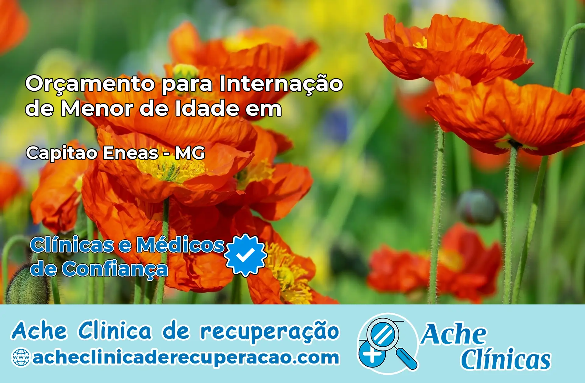 Internação de Menor de Idade em Capitão Enéas – MG