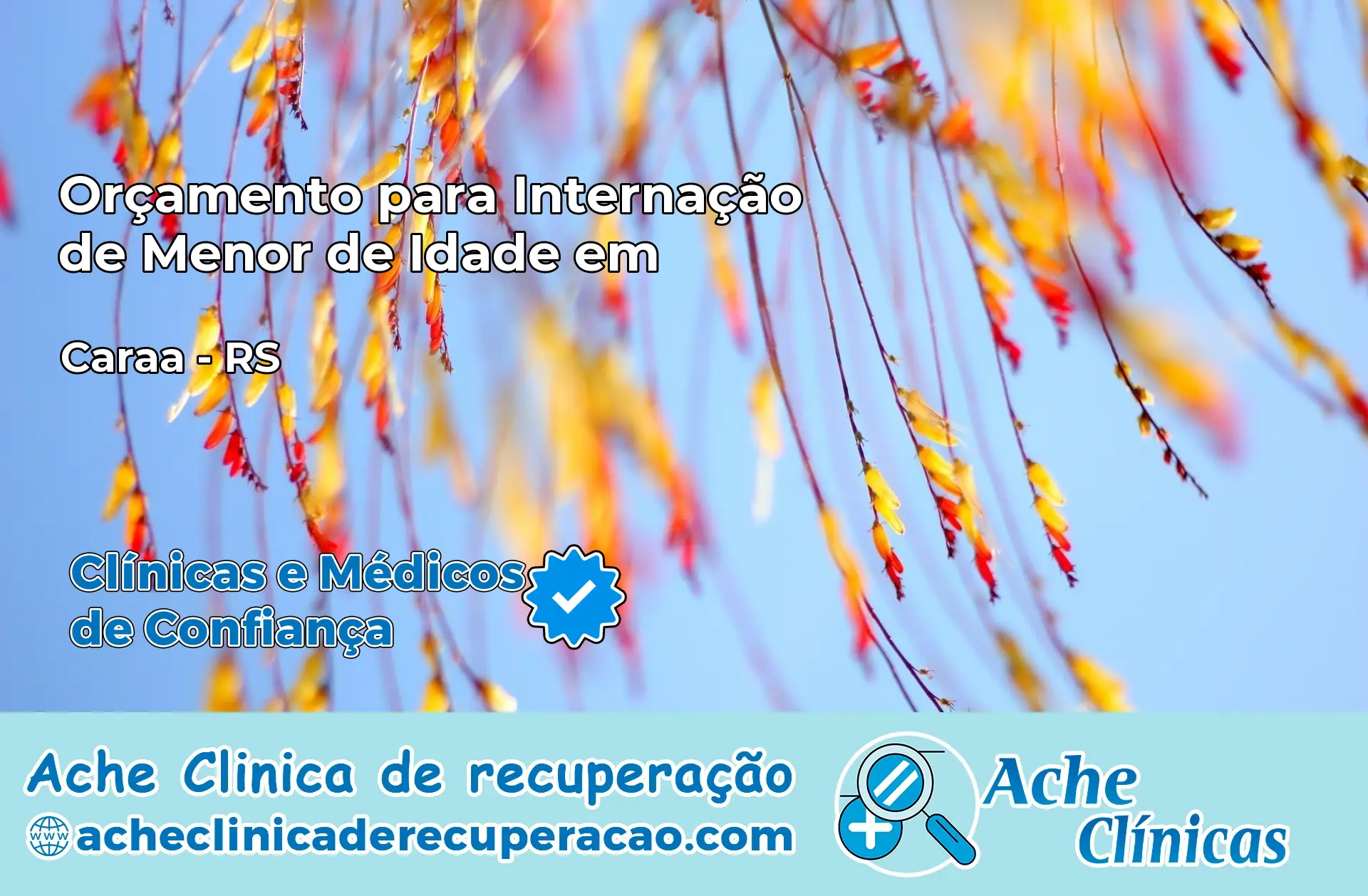 Internação de Menor de Idade em Caraá – RS