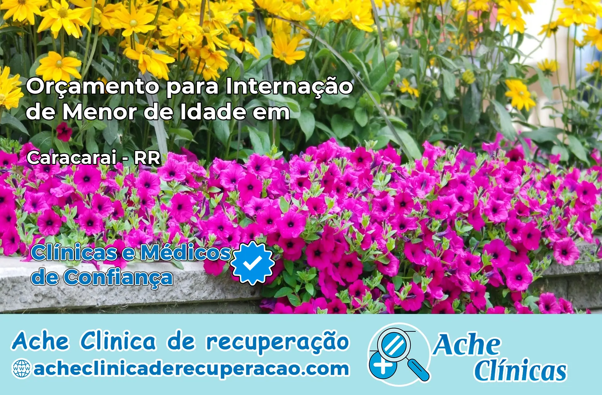 Internação de Menor de Idade em Caracaraí – RR