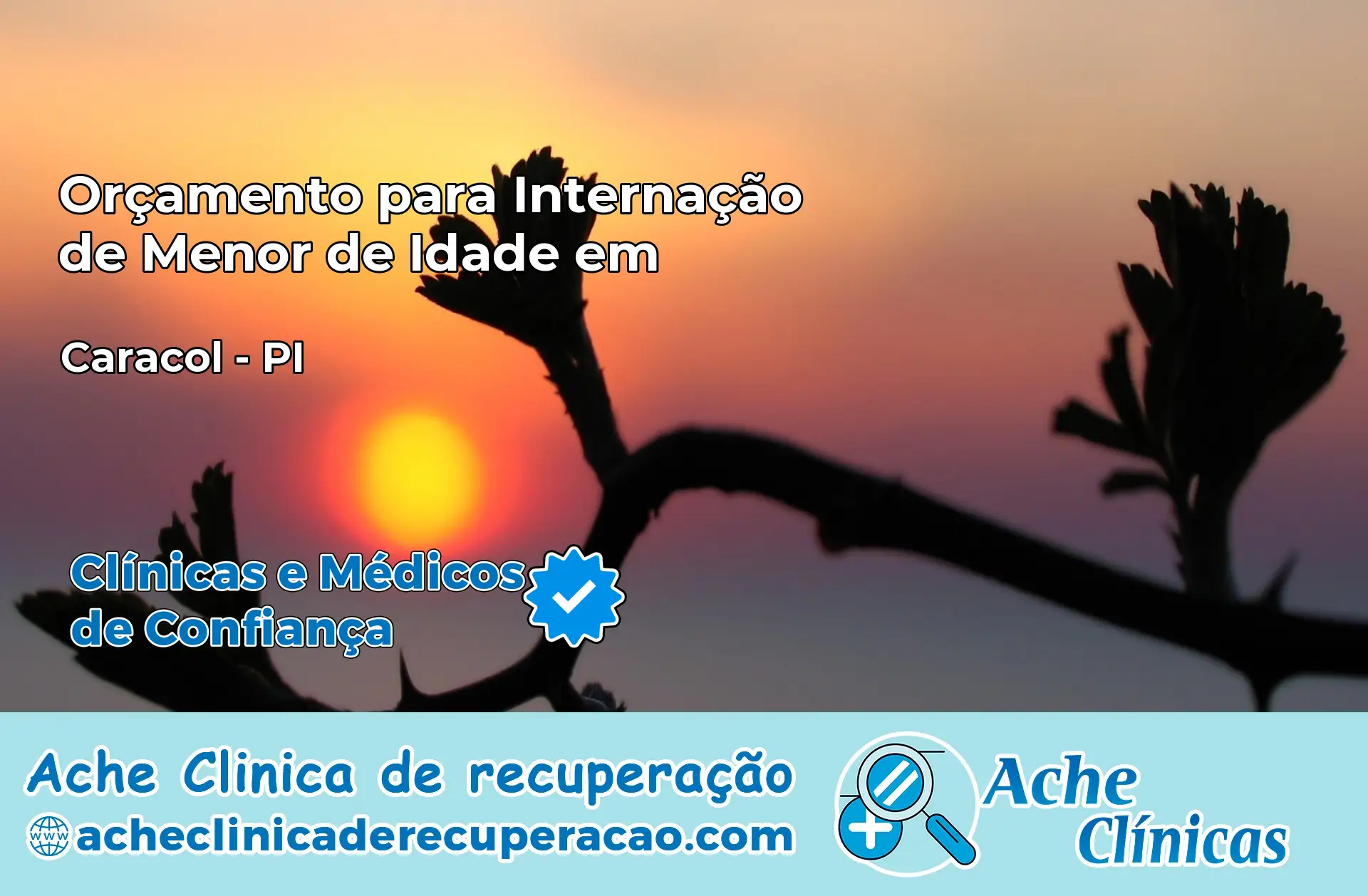 Internação de Menor de Idade em Caracol – PI