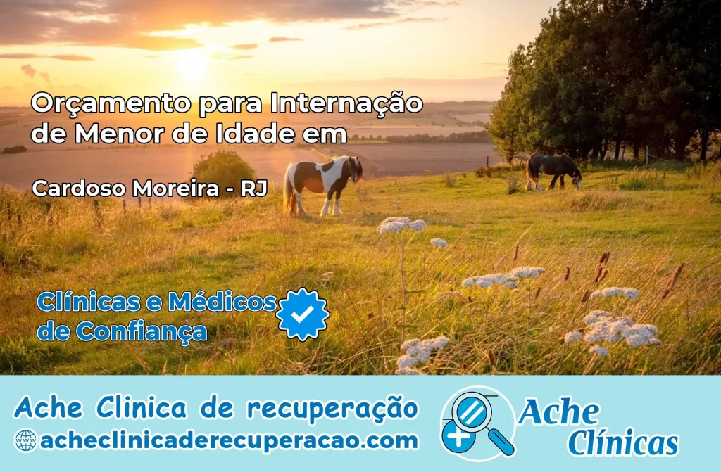 Internação de Menor de Idade em Cardoso Moreira – RJ