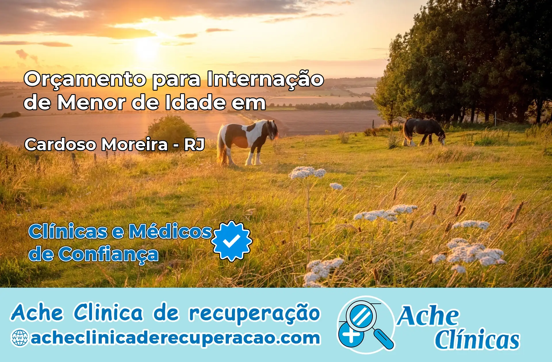 Internação de Menor de Idade em Cardoso Moreira – RJ