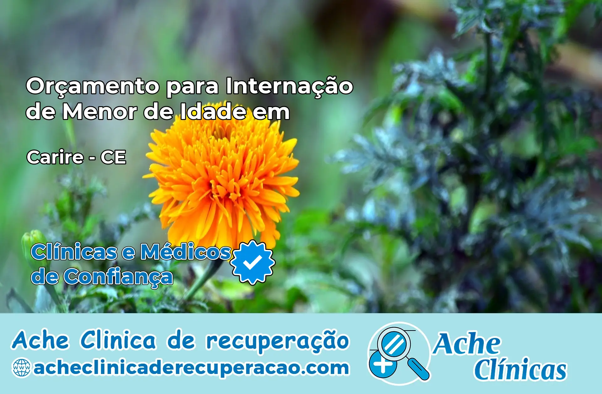 Internação de Menor de Idade em Cariré – CE