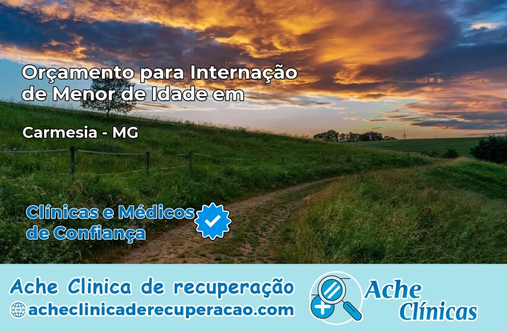 Internação de Menor de Idade em Carmésia – MG