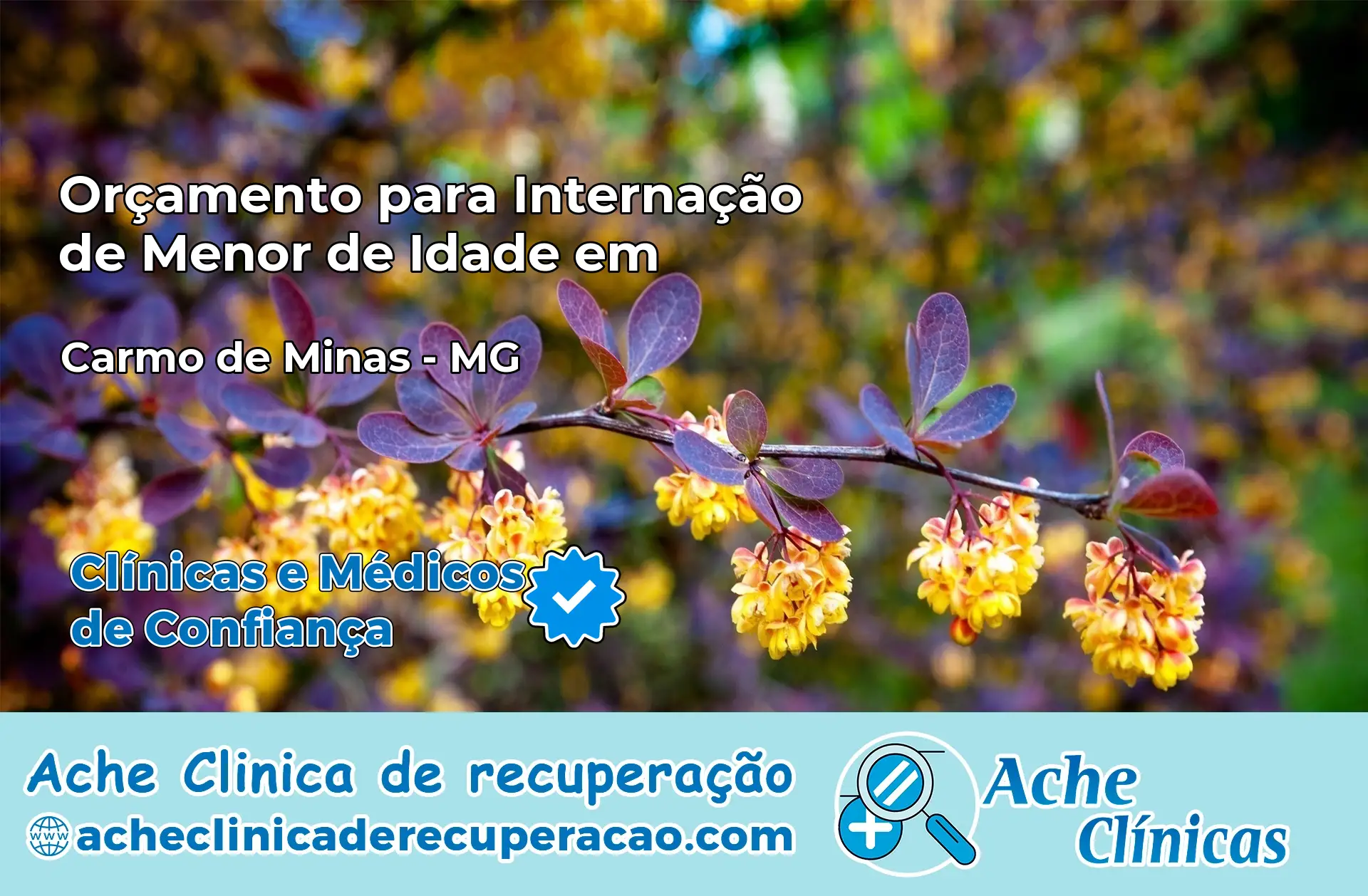 Internação de Menor de Idade em Carmo de Minas – MG