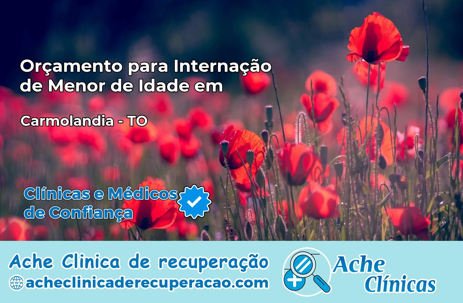 Internação de Menor de Idade em Carmolândia – TO