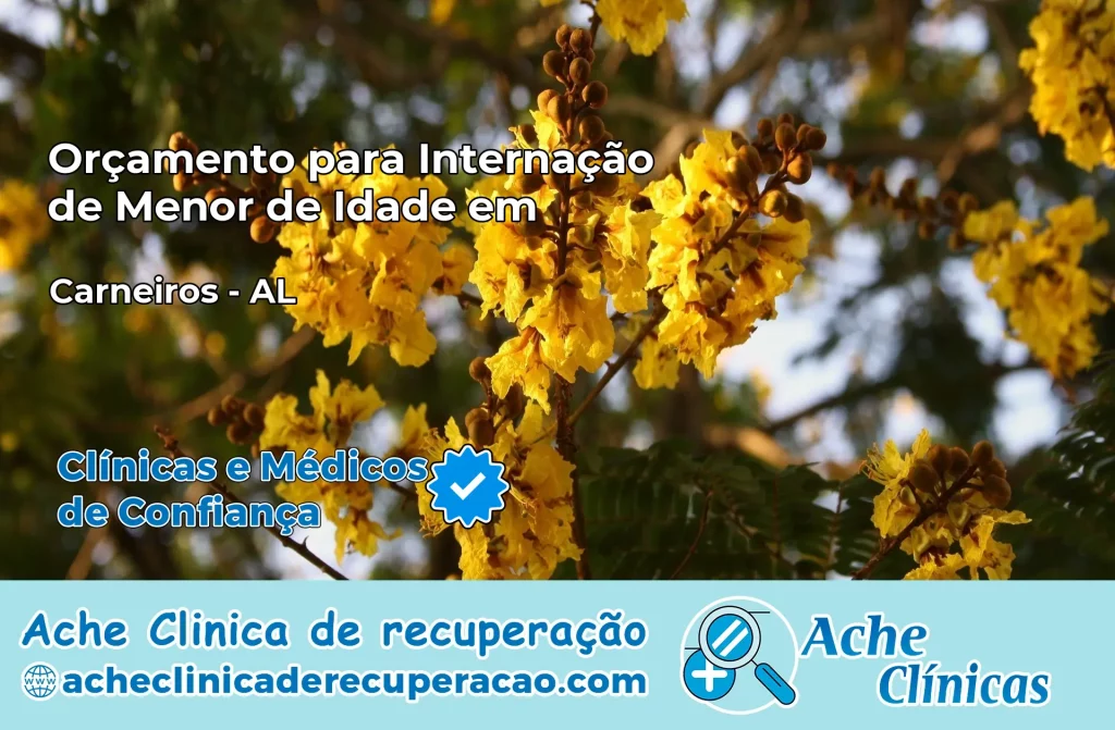 Internação de Menor de Idade em Carneiros – AL
