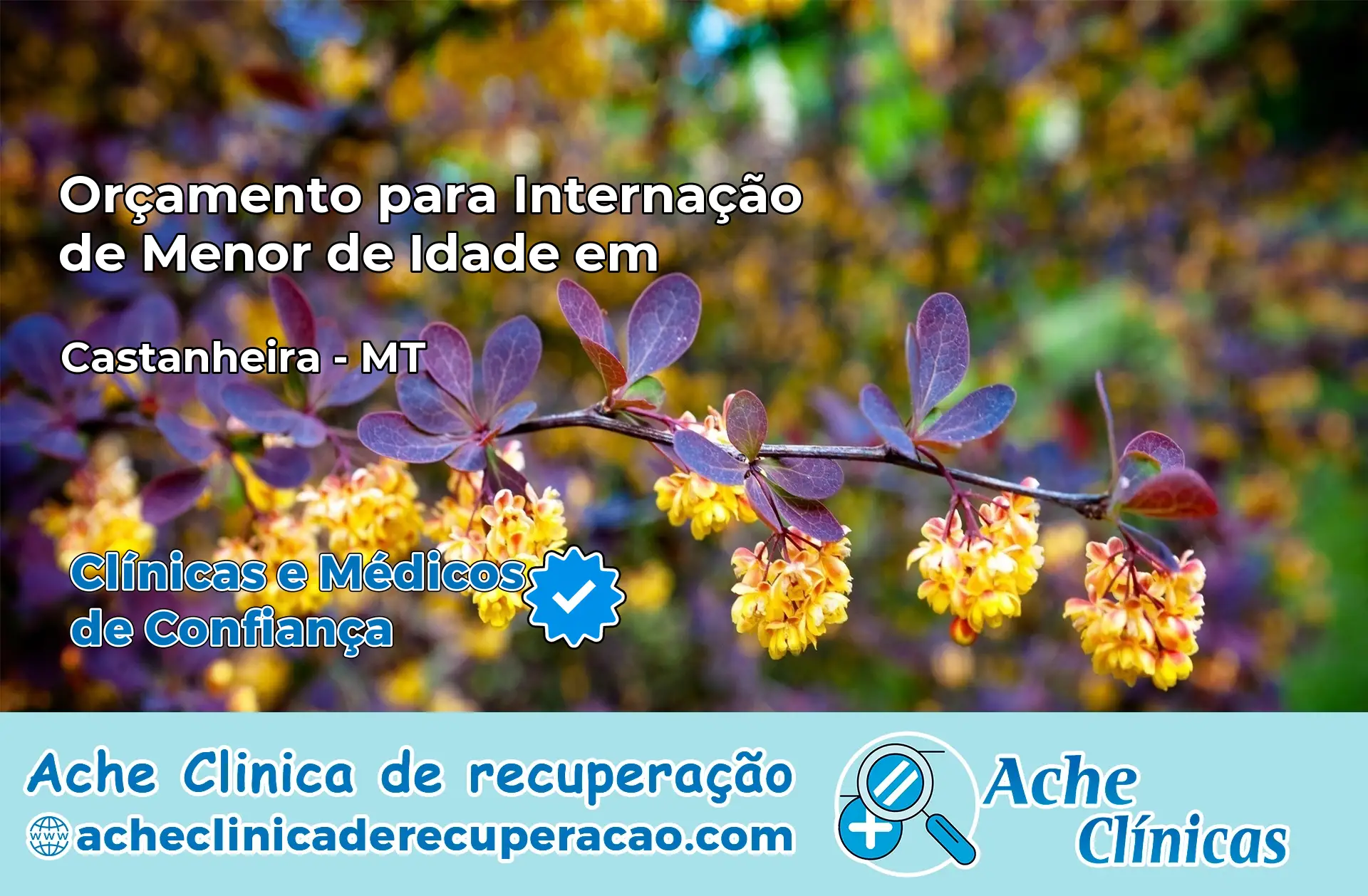Internação de Menor de Idade em Castanheira – MT