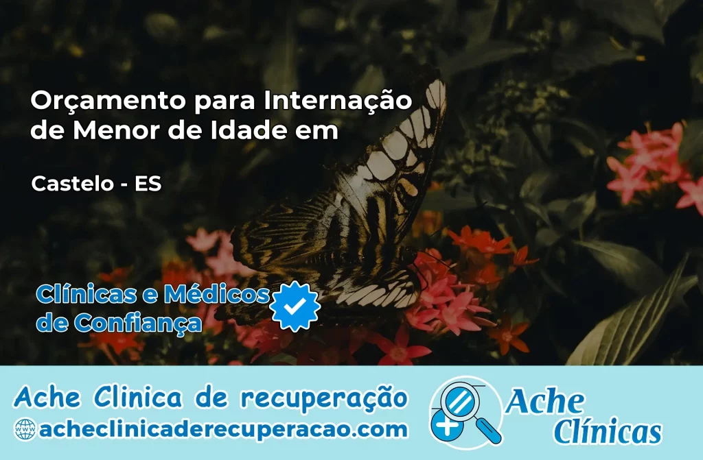 Internação de Menor de Idade em Castelo – ES