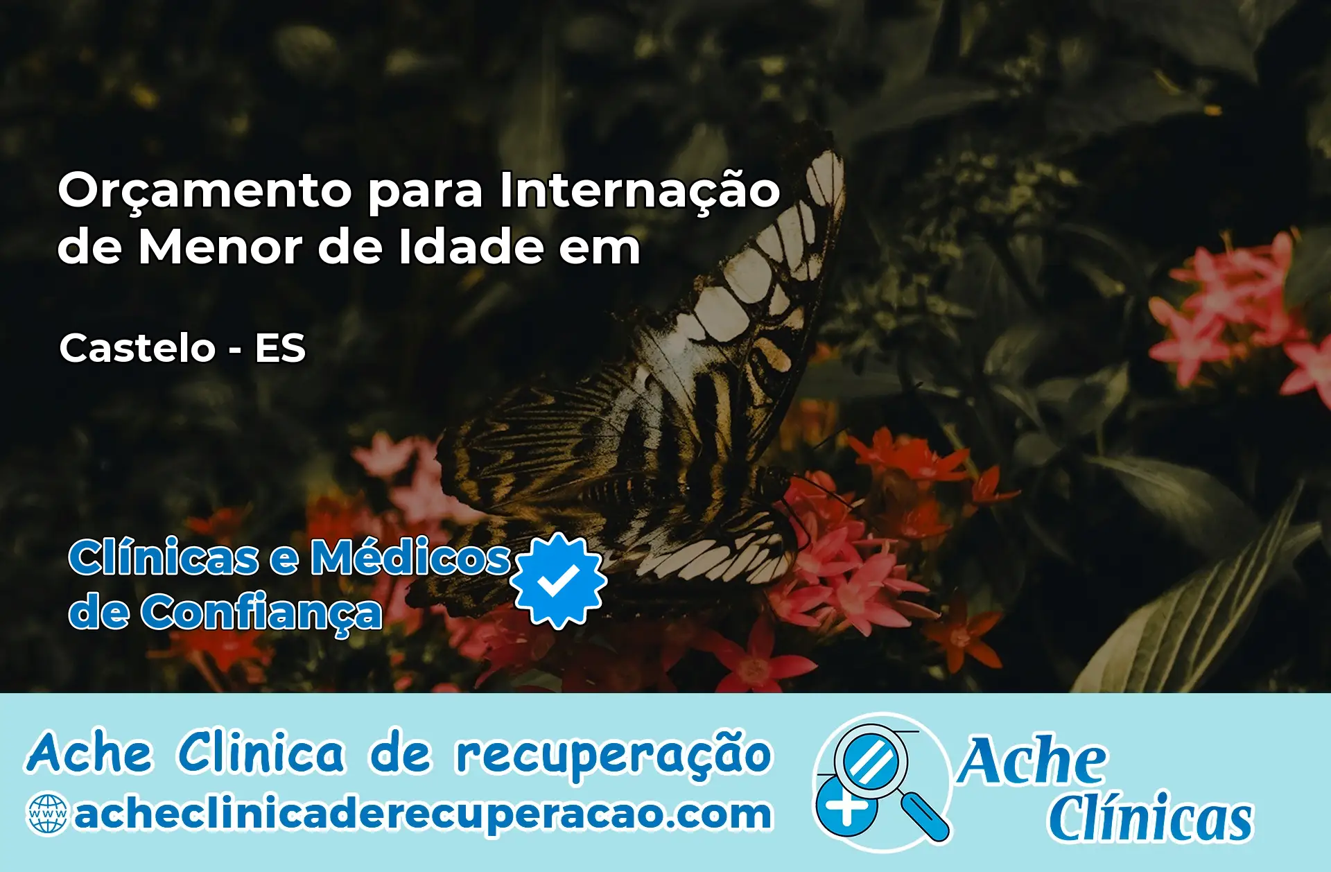 Internação de Menor de Idade em Castelo – ES