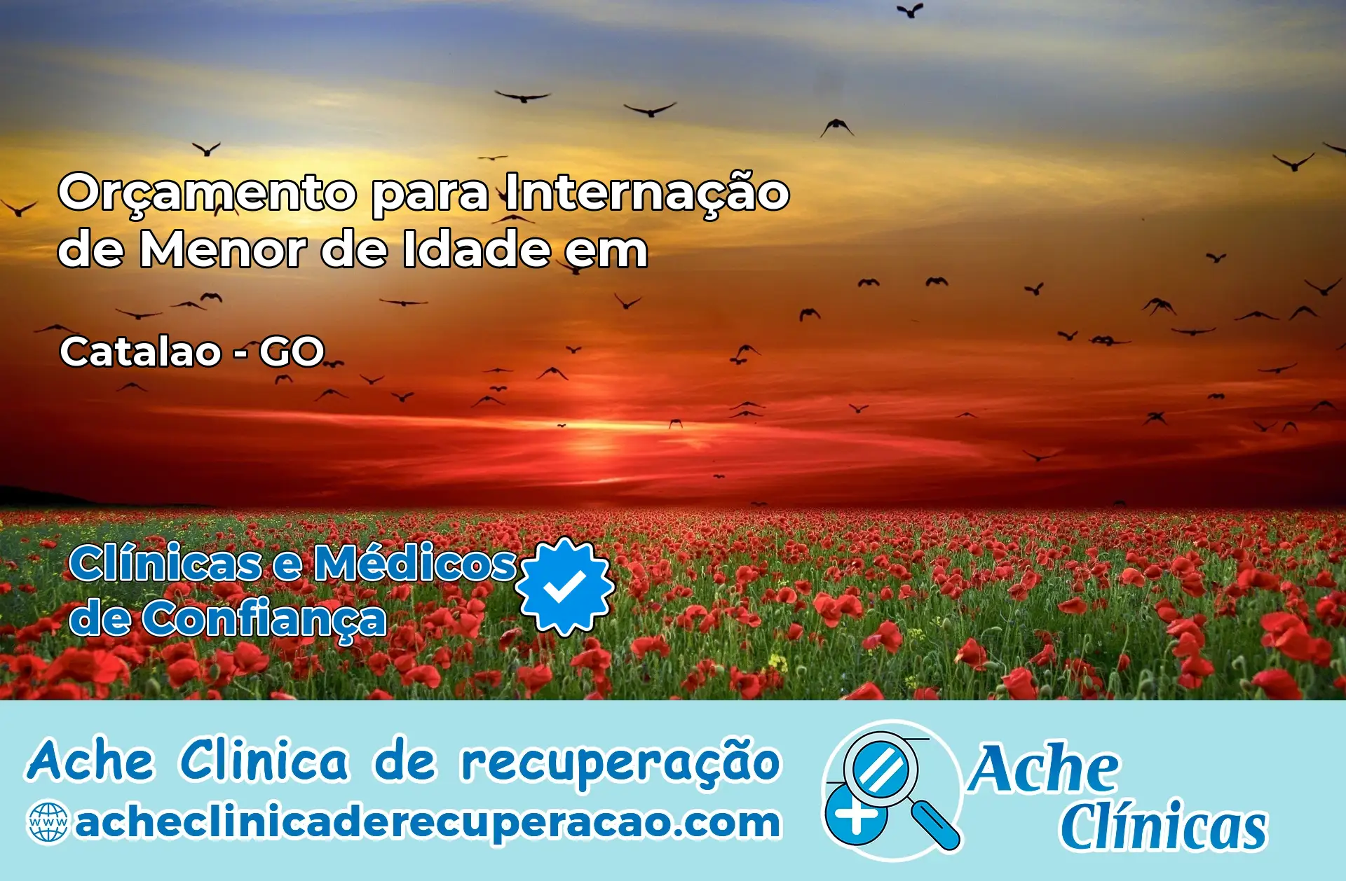 Internação de Menor de Idade em Catalão – GO