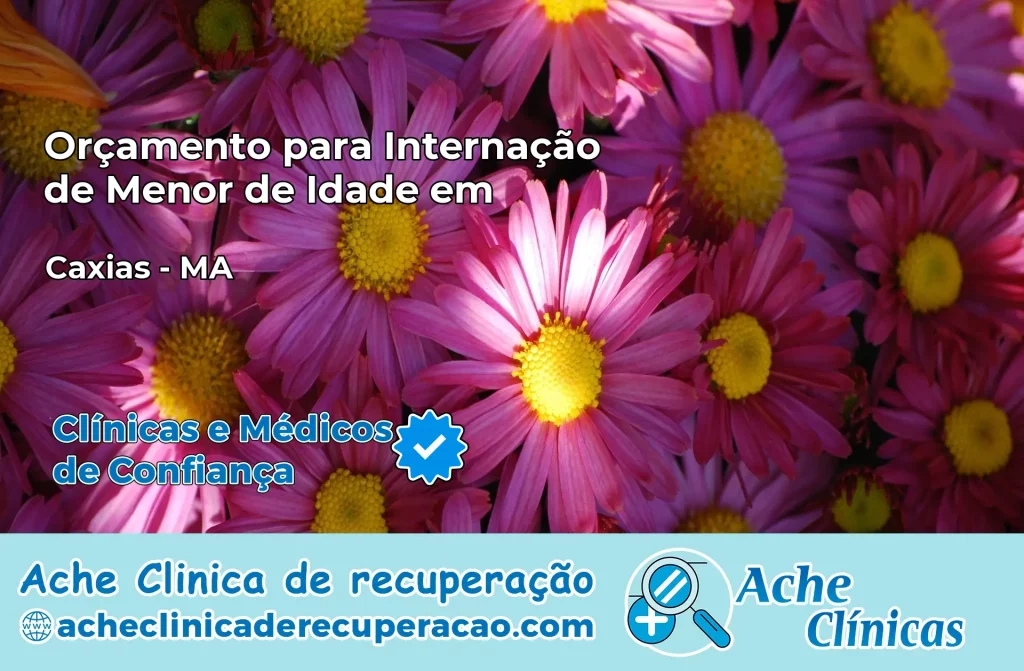 Internação de Menor de Idade em Caxias – MA