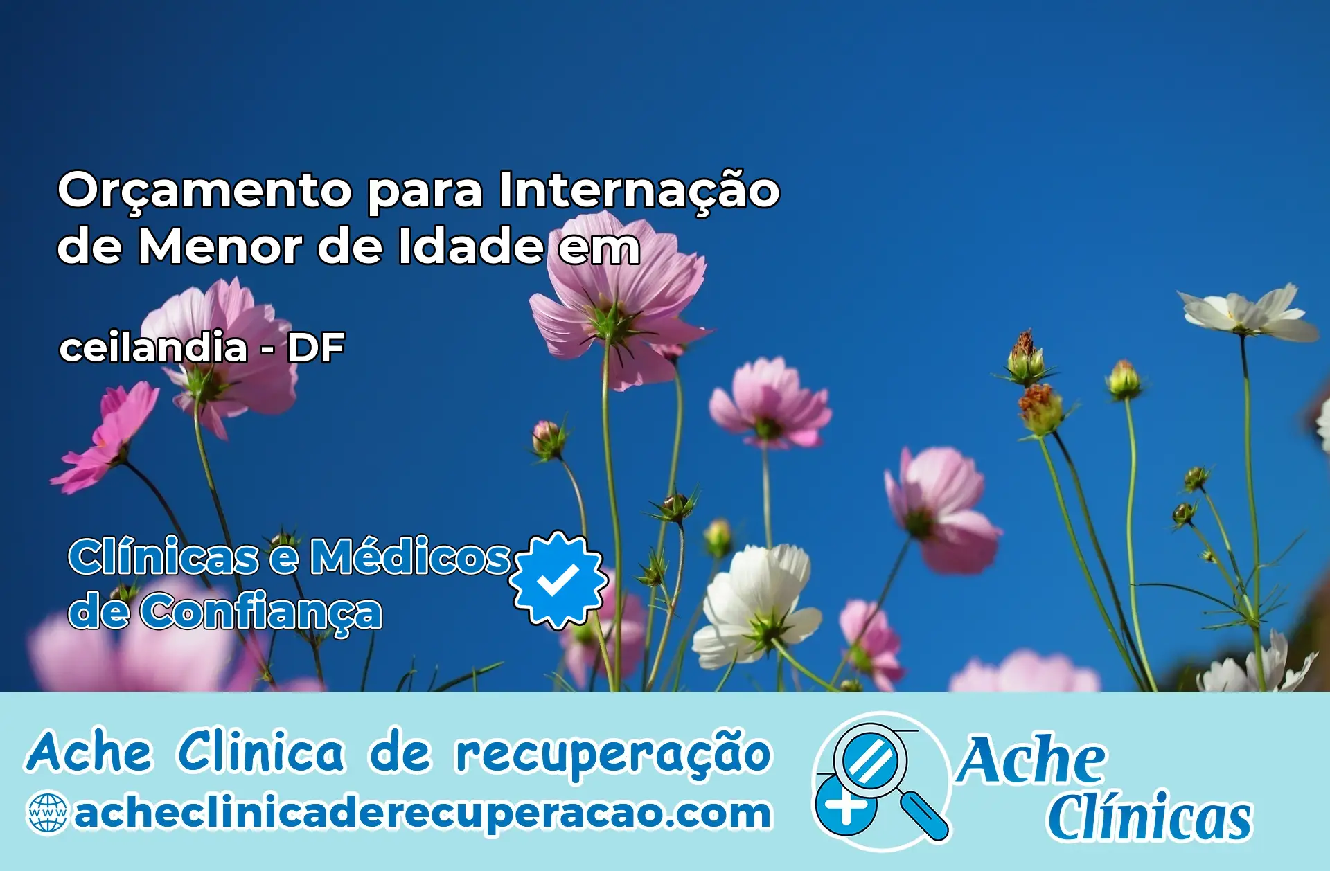 Internação de Menor de Idade em ceilandia – DF