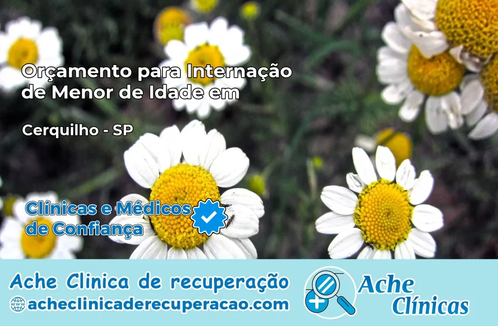 Internação de Menor de Idade em Cerquilho – SP