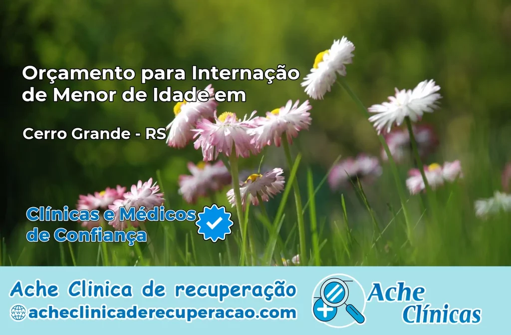 Internação de Menor de Idade em Cerro Grande – RS