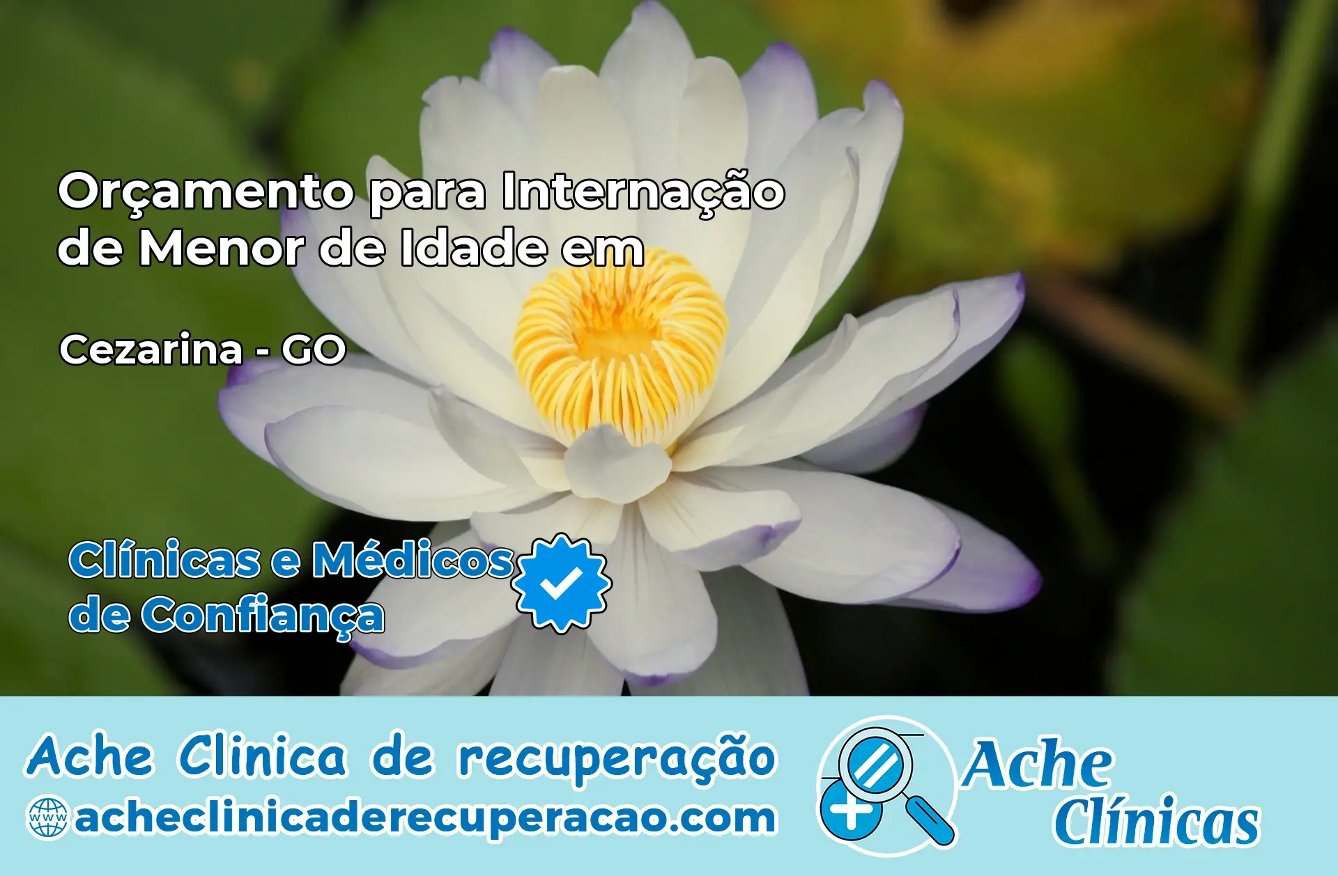 Internação de Menor de Idade em Cezarina – GO