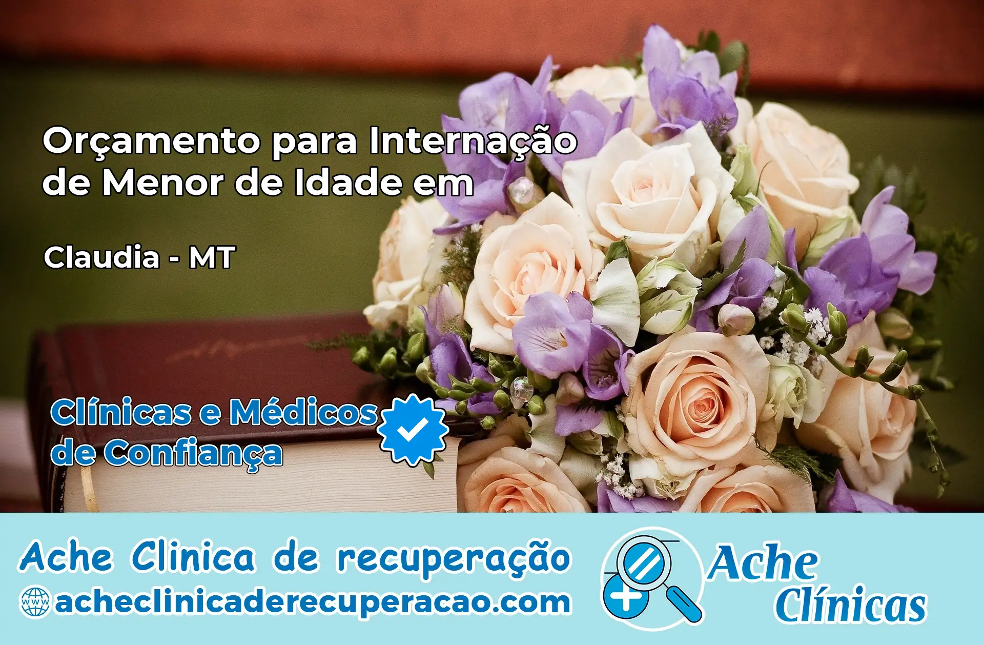 Internação de Menor de Idade em Cláudia – MT