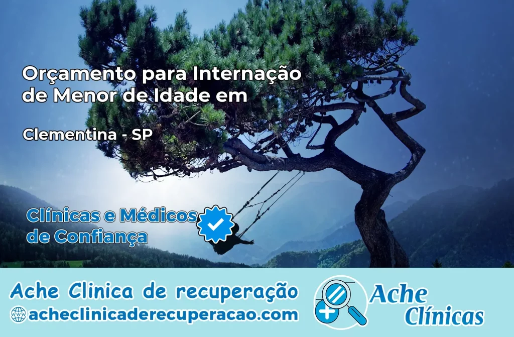 Internação de Menor de Idade em Clementina – SP