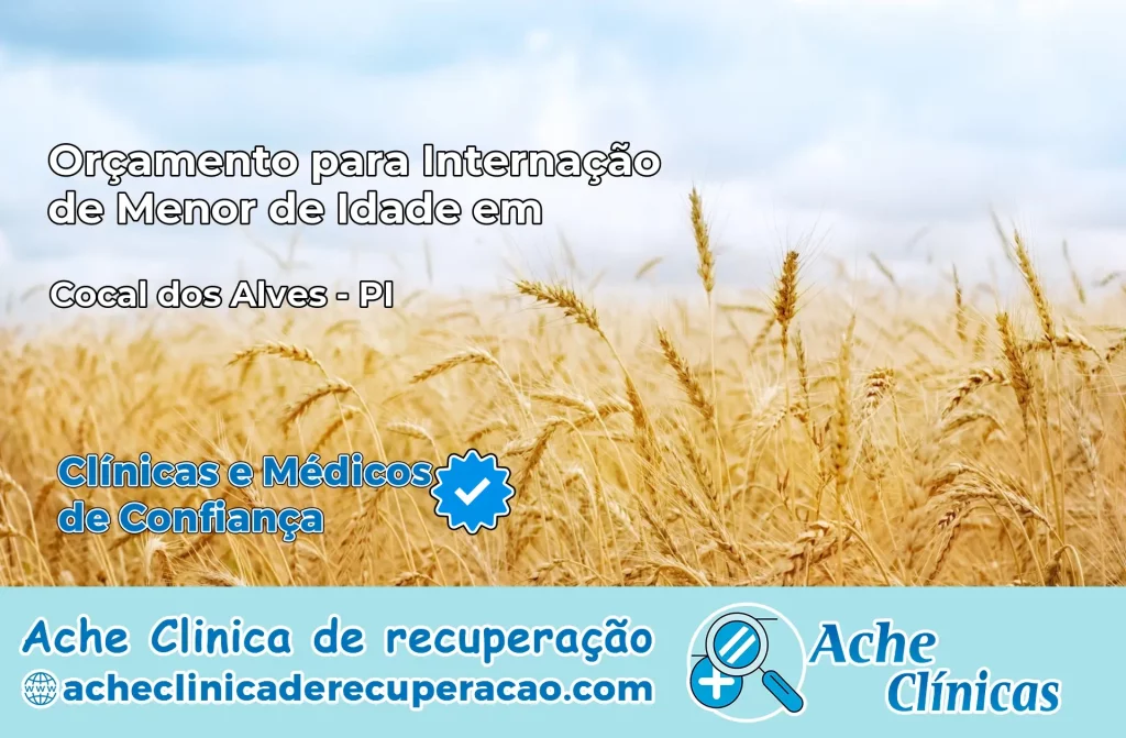Internação de Menor de Idade em Cocal dos Alves – PI