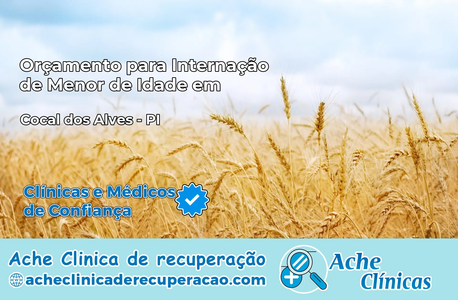 Internação de Menor de Idade em Cocal dos Alves – PI