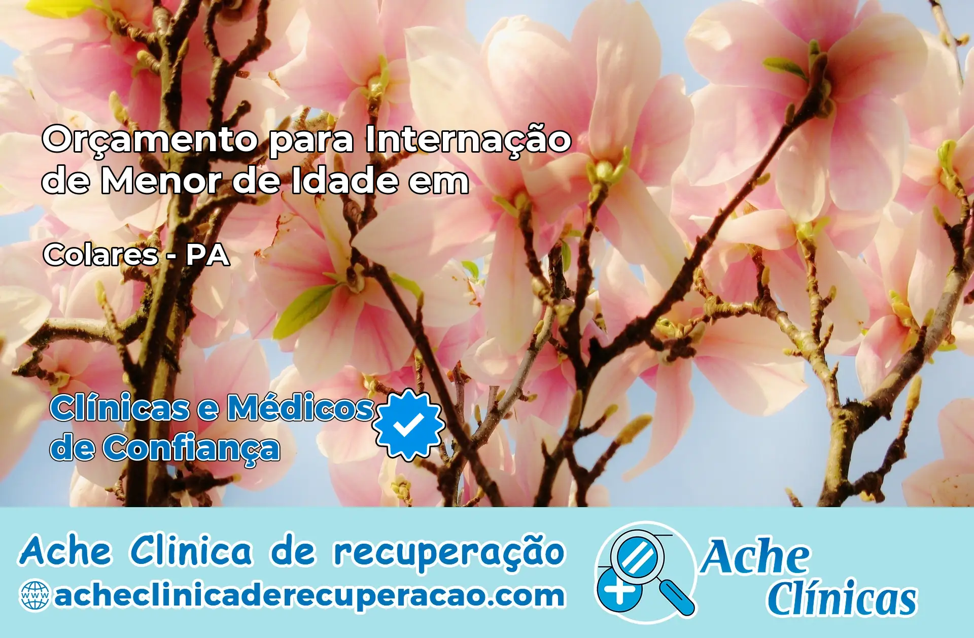 Internação de Menor de Idade em Colares – PA