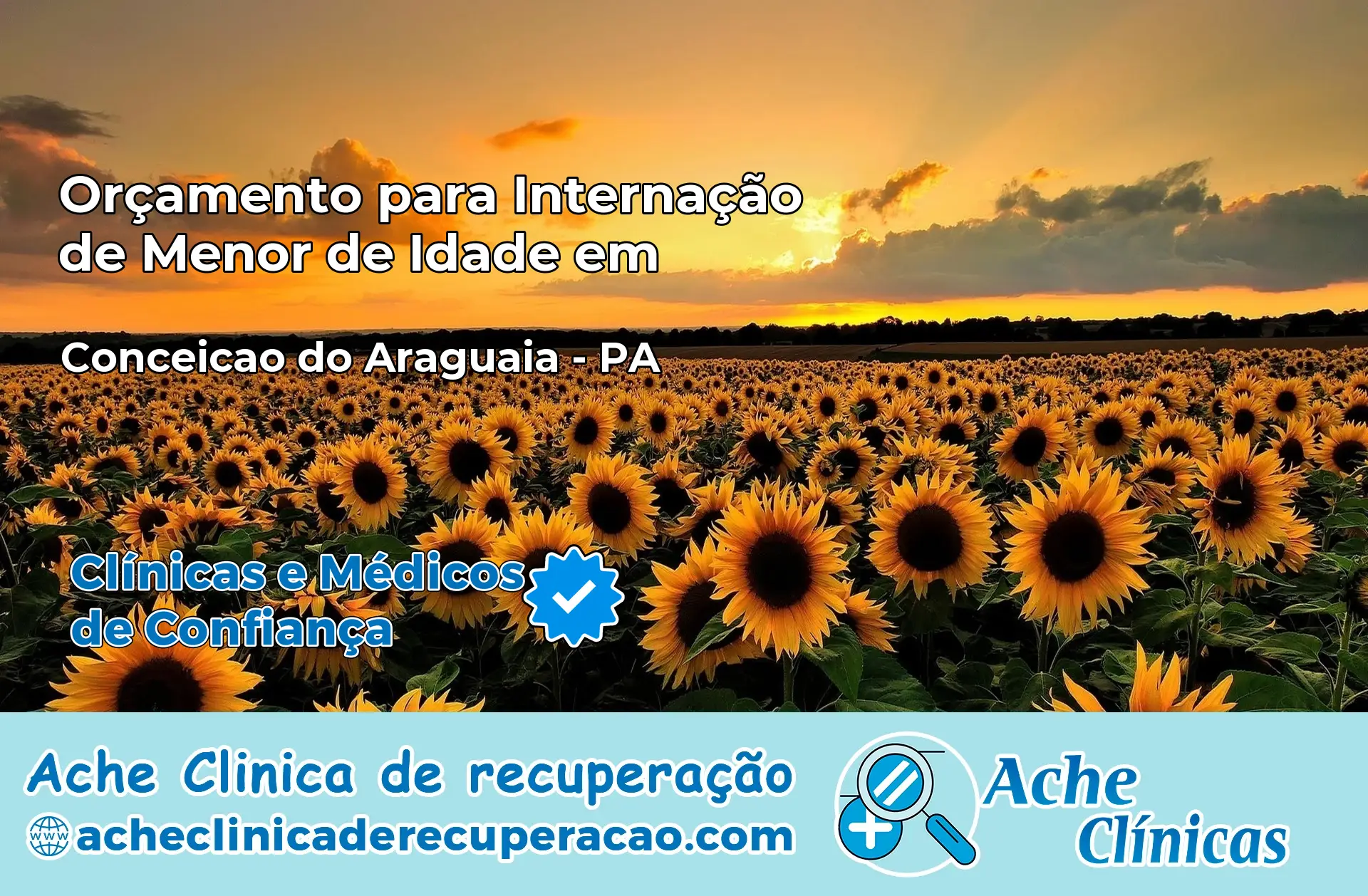 Internação de Menor de Idade em Conceição do Araguaia – PA