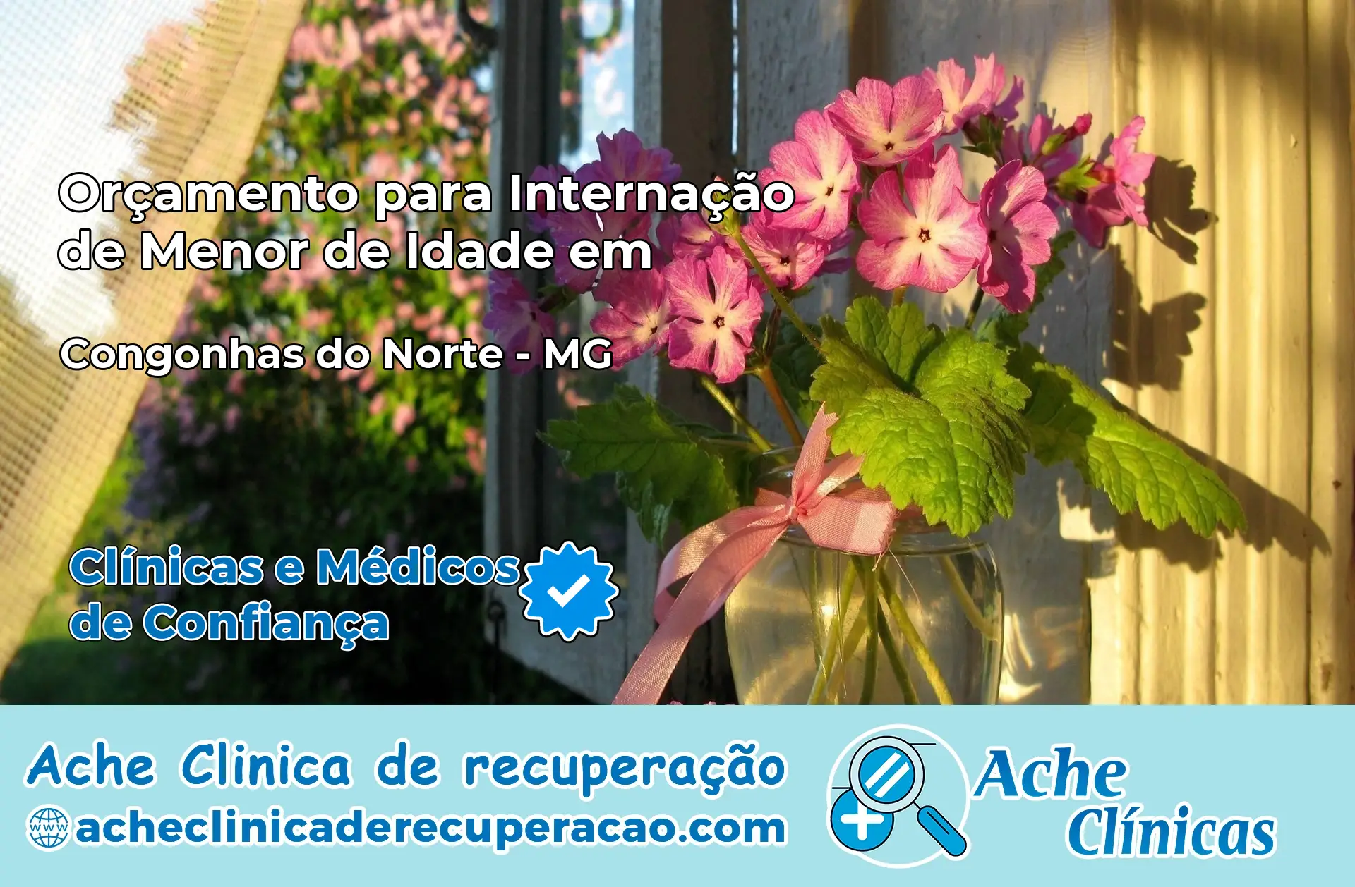 Internação de Menor de Idade em Congonhas do Norte – MG