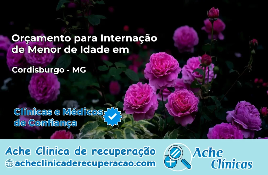 Internação de Menor de Idade em Cordisburgo – MG