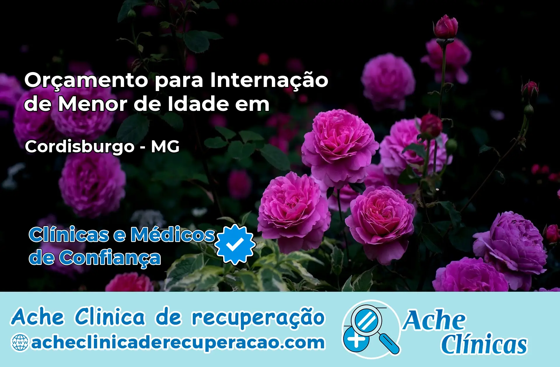 Internação de Menor de Idade em Cordisburgo – MG