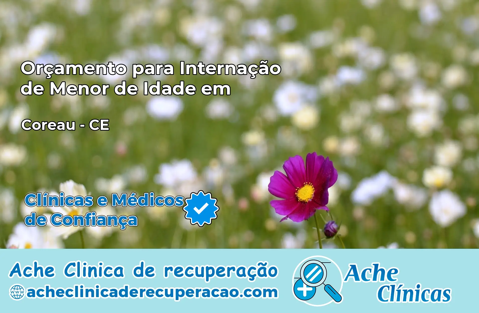 Internação de Menor de Idade em Coreaú – CE