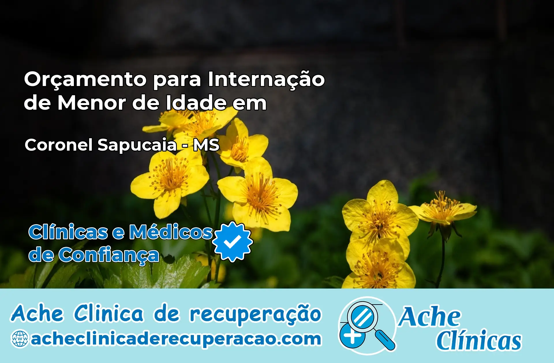 Internação de Menor de Idade em Coronel Sapucaia – MS