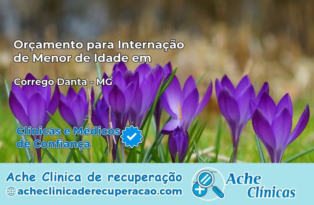 Internação de Menor de Idade em Córrego Danta – MG