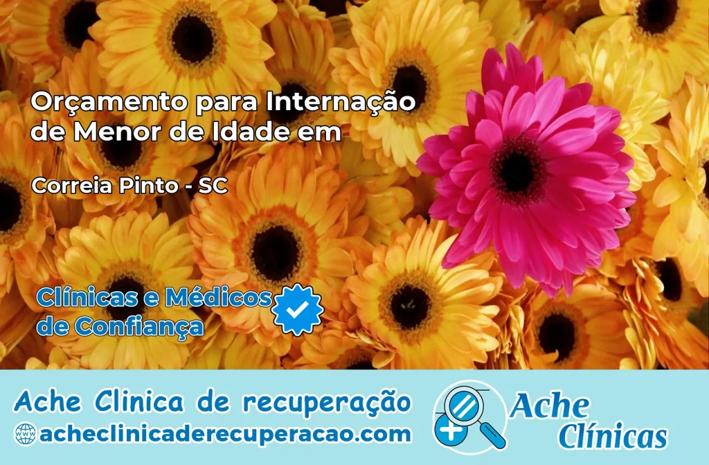 Internação de Menor de Idade em Correia Pinto – SC
