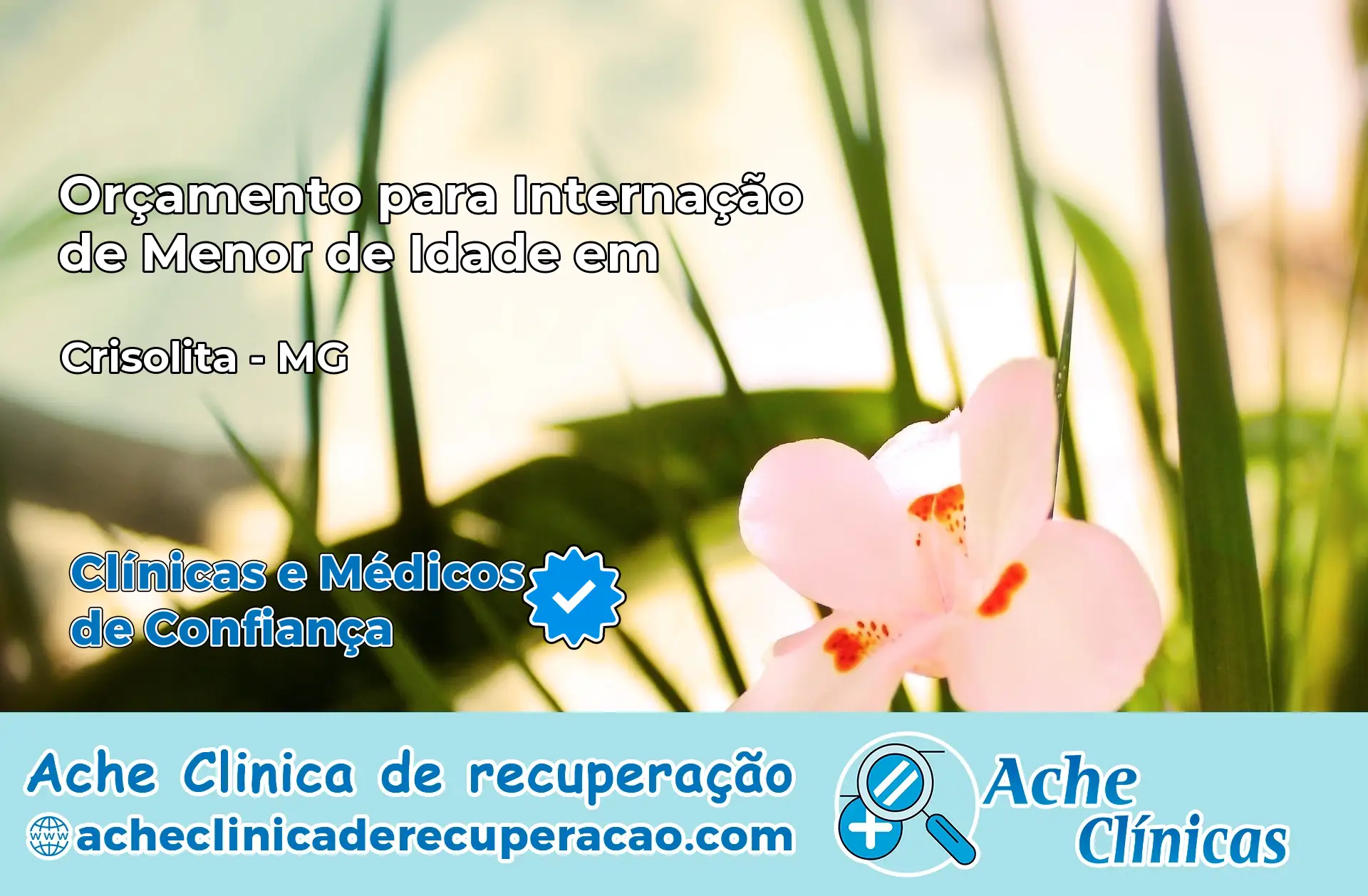Internação de Menor de Idade em Crisólita – MG