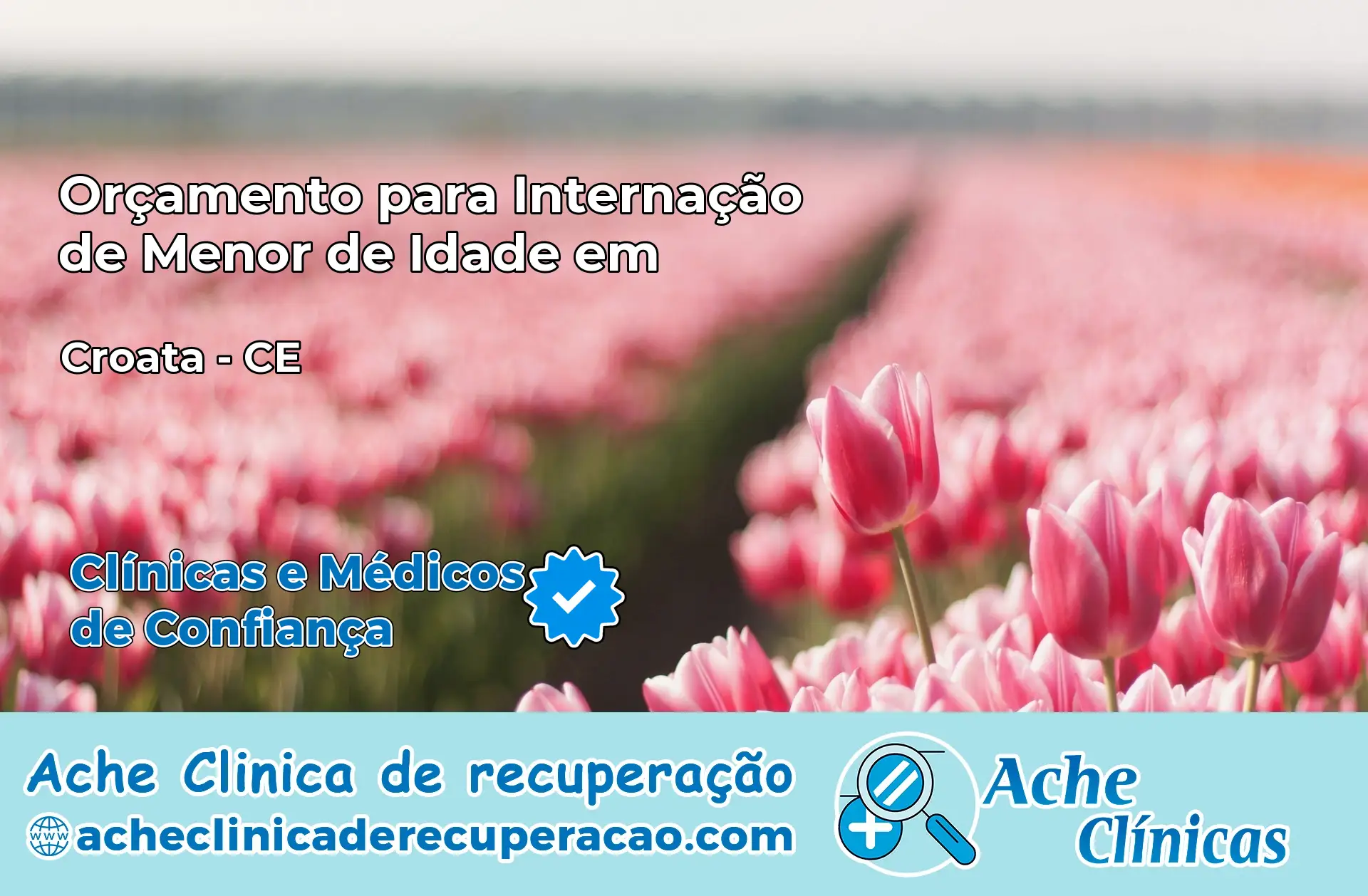 Internação de Menor de Idade em Croatá – CE