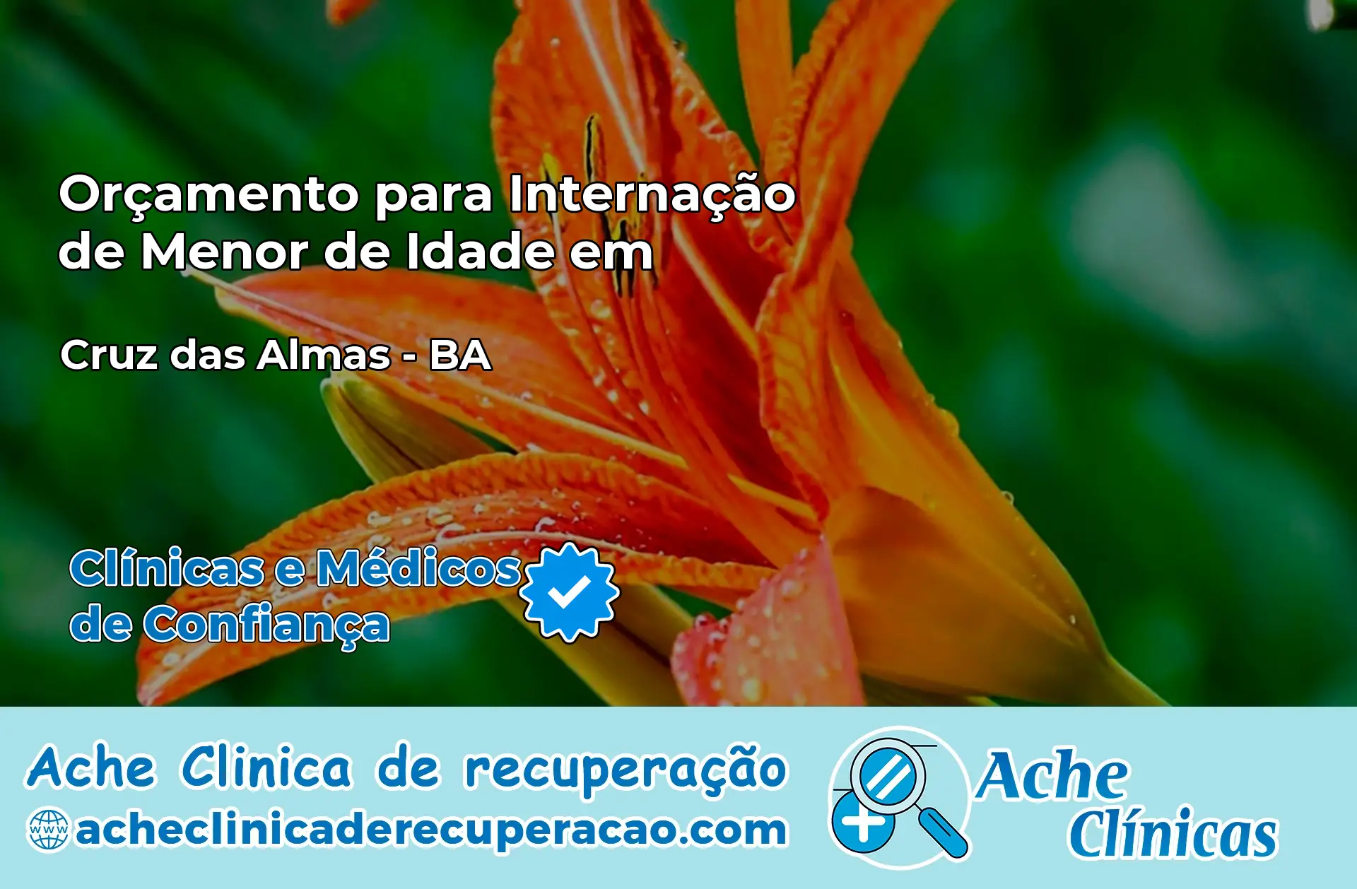 Internação de Menor de Idade em Cruz das Almas – BA