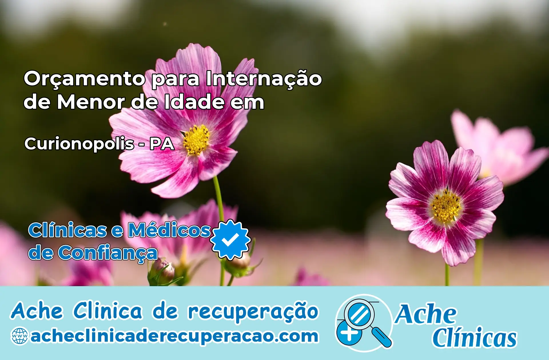 Internação de Menor de Idade em Curionópolis – PA