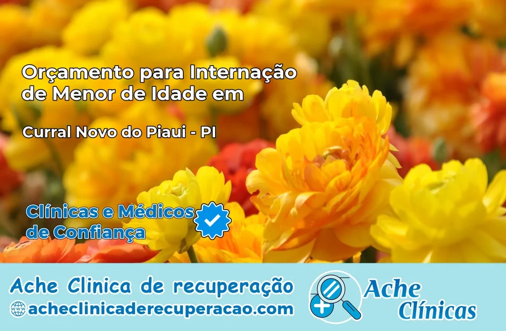 Internação de Menor de Idade em Curral Novo do Piauí – PI