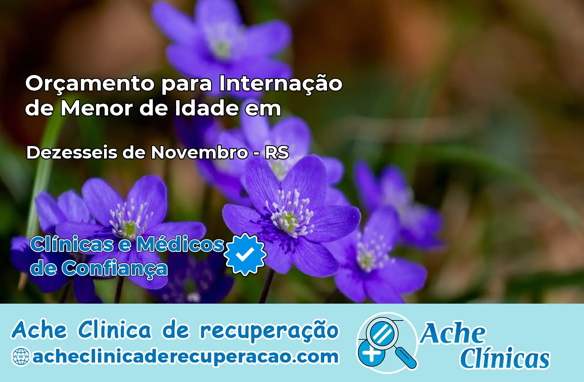 Internação de Menor de Idade em Dezesseis de Novembro – RS