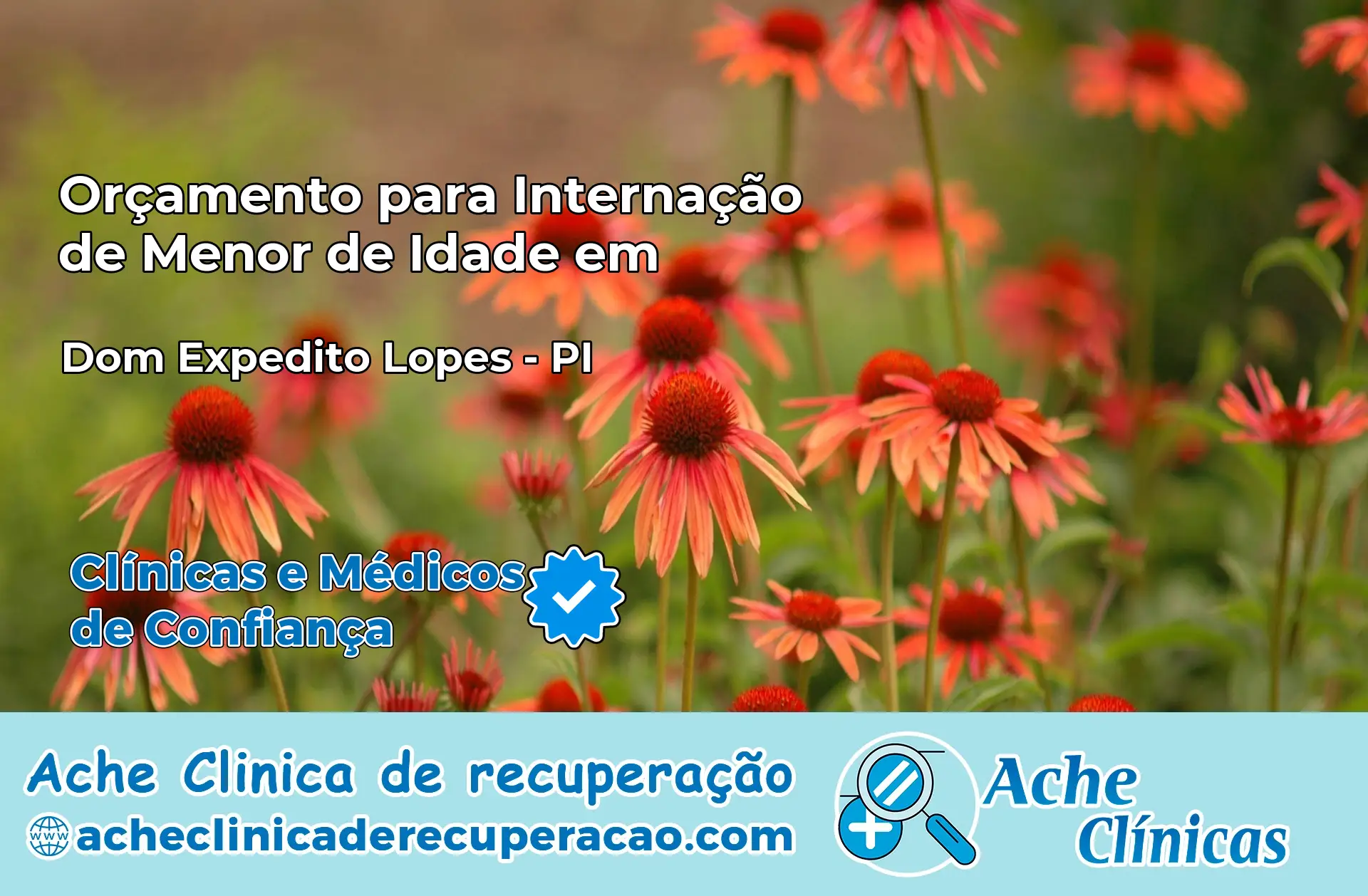 Internação de Menor de Idade em Dom Expedito Lopes – PI